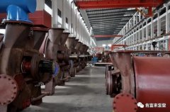 南京涛声旅游市场营销有限公司被评为2019年度三水区骨干企业